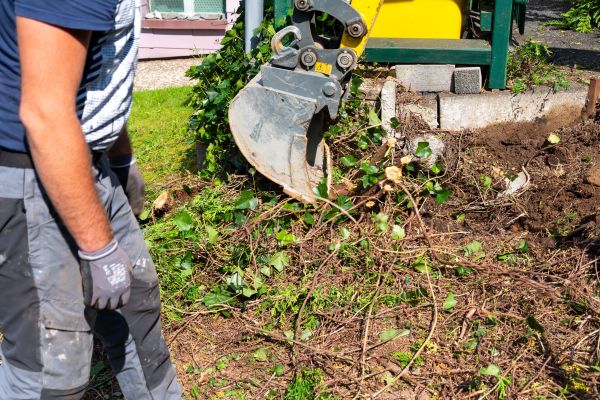 Hedge Removal Service in Saint Johns