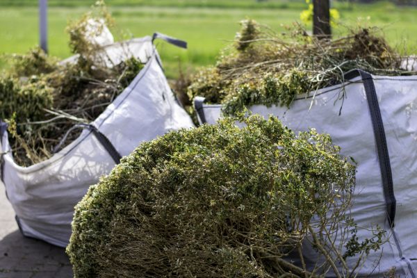 Shrubs Removal in Saint Johns