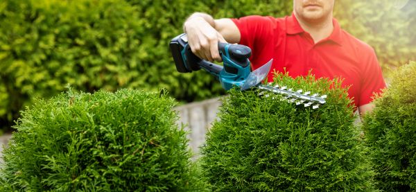 Hedge Shaping Service in Saint Johns