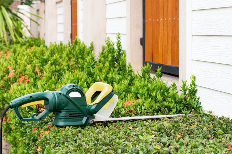 Holly Bushes Trimming