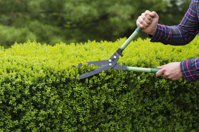Shrub Trimming Tools