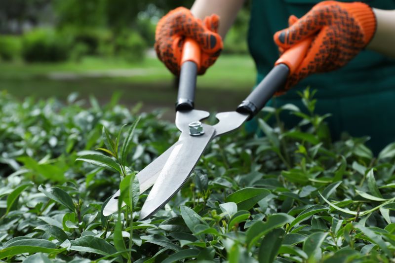 Tools for Shrub Care